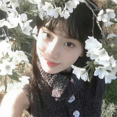 庇护棕榈树下